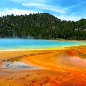 Meet your Posher, Moira